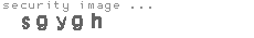 security image