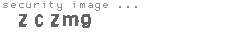 security image