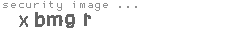 security image