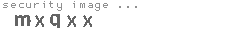 security image