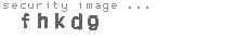 security image