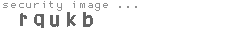 security image