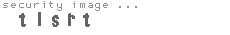 security image
