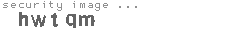 security image