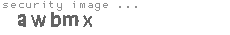 security image