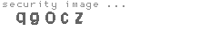 security image