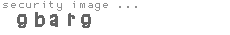 security image