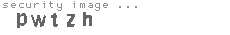 security image