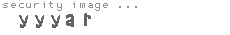 security image