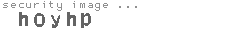 security image