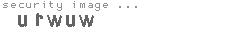 security image