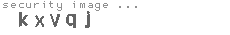 security image