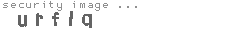 security image