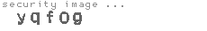 security image