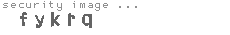 security image