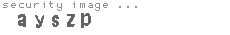 security image