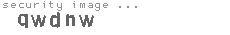 security image