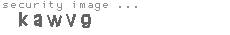 security image