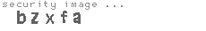 security image