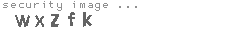 security image
