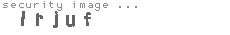 security image
