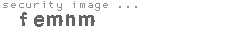 security image
