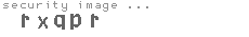 security image