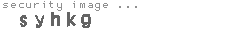 security image