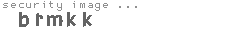 security image