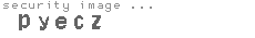 security image