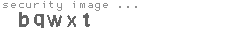 security image