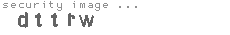 security image