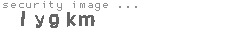 security image