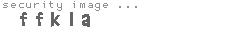 security image