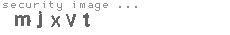 security image