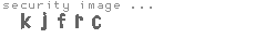 security image