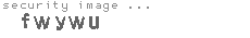 security image