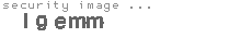 security image