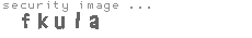 security image