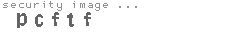 security image