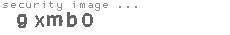 security image