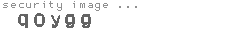 security image