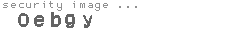 security image