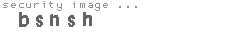 security image