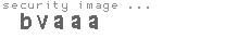 security image
