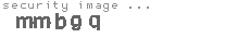 security image
