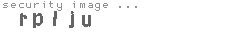 security image