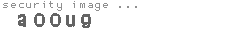 security image