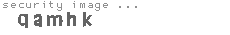 security image