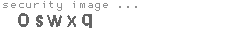 security image